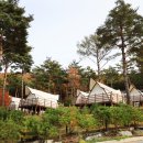 생태체험학습장 야영장 이미지