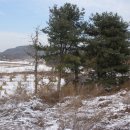 장호원읍-01 이미지