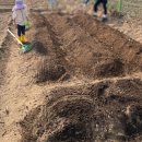 강변 농장 | 주말농장 첫번째 방문 (feat. 꼬마 농부)