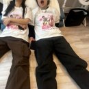 마이뷰티독스타필드위례점 | 잘가라