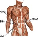 몽키짐 이미지