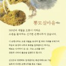 잠업권역야사마을 네이버블로그
