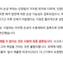 청해진 뉴스타파