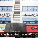 힐링동물의료센터 이미지