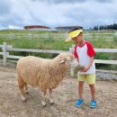 장수사슴목장 이미지