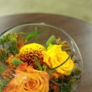 화요꽃집 - 용인시 기흥구 동백중앙로 225-6 | 화요꽃집