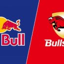 붉은황소 이미지