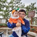 [제주도 2박3일 여행] - 2일차(중앙식당, 성산 유채꽃밭, 삼대국수회관, 허니문하우스, 올레시장...