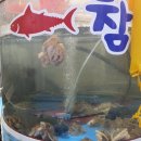 곰수산회수산물센타