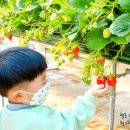 대림2농장 이미지