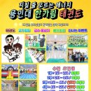 용인대 국가대표 엘리트 태권도장 이미지