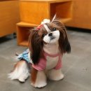 플라이플라잉 이미지