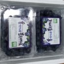 홍가네2농장 이미지