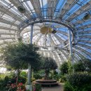 솔향수목원(암석원) | 강릉여행 강릉가볼만한곳 강릉솔향수목원, 강릉 산책하기 좋은 강릉수목원