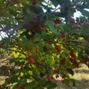 열매한의원 이미지