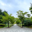 수원-2003 | 수원 가볼만한곳 추천! 인계동 효원공원 속 작은 중국 월화원 주차 및 관람 팁