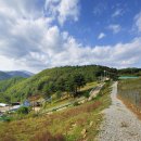 정선목장 이미지