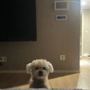 유준카센터 이미지