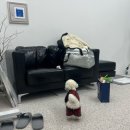 펀들 | 내돈내산 강아지 이동가방 후기 2탄 ( 바비아나, 겟백, 펀들, 아투스모멍트, 쏘오옥)