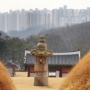 금성아파트앞 이미지