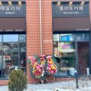 에밀리아젤라또미아