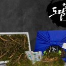 선물도담 이미지