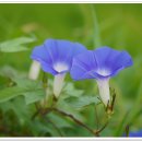 세종공원 이미지