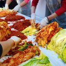 은하수별빛마을 이미지