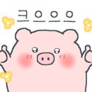 팔달비경타투 네이버블로그