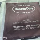 인;연케이크 | [선물 추천] 하겐다즈 프리미엄 아이스크림케이크 '리얼 블랑' 솔직 후기!