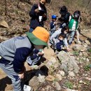 봉의초병설유치원 이미지