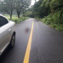 수안보면사무소 이미지