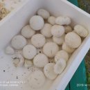 충청무인항공 이미지