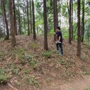 창원도계동고분군 이미지