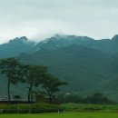 마음수련 이미지