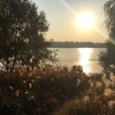 본향장의 이미지