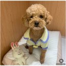 호텔플레이 이미지