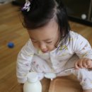 대룡목장 이미지