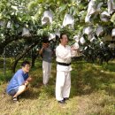 감곡2농장 이미지