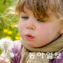 녹색갈증 이미지
