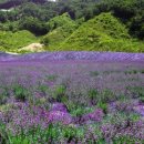 이승현농장 이미지