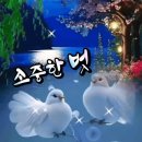 간추린 뉴스 이미지