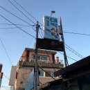 주문진대박식당