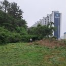 주식회사 보토 네이버블로그