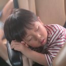성산읍 고성sk1빌라 옆 | 제주아이랑 가족여행 ( 투어패스 뽕뽑는법 )