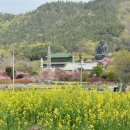 남미륵사 이미지