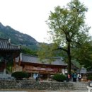 국립변산자연휴양림 이미지