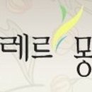 신데렐라뷰티 이미지