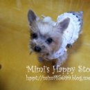 싱그런건강누리 이미지