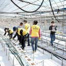 대곡마을 이미지